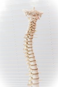 Back Injuries 3 spine 2539697 640 200x300 1